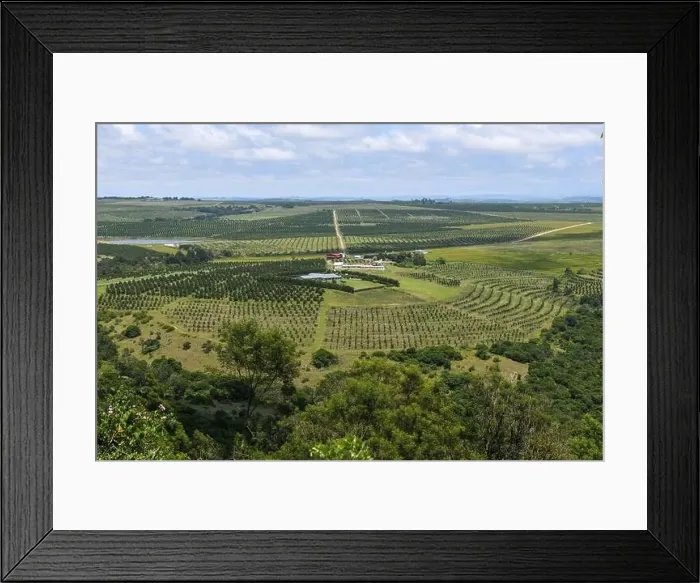 Framed Print : Drone view at a agricultural field on Oribi gorge near Port Shepstone in South Africa Framed Print : Drone view at a agricultural field on Oribi gorge near Port Shepstone in South Africa