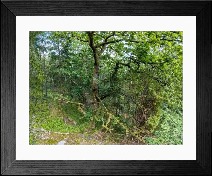 Framed Print : Lake Lygern close to Satila From above Framed Print : Lake Lygern close to Satila From above