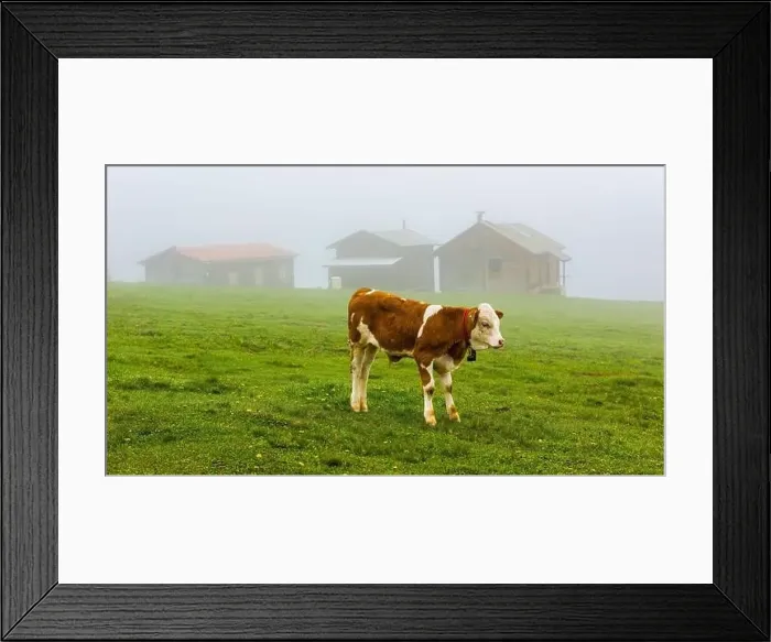 Framed Print : SAL PLATEAU in Camlihemsin district of Rize province. Kackar Mountains region. Rize, Turkey Framed Print : SAL PLATEAU in Camlihemsin district of Rize province. Kackar Mountains region. Rize, Turkey