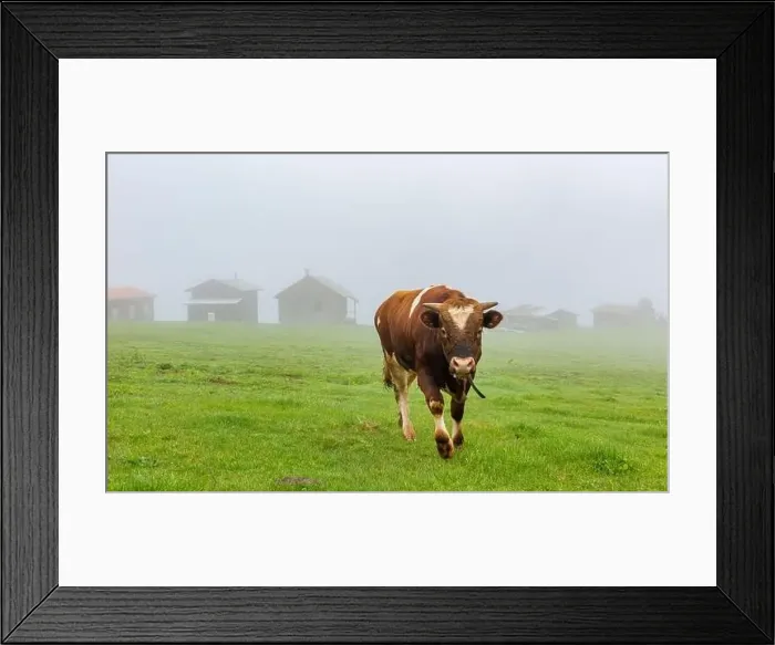 Framed Print : SAL PLATEAU in Camlihemsin district of Rize province. Kackar Mountains region. Rize, Turkey Framed Print : SAL PLATEAU in Camlihemsin district of Rize province. Kackar Mountains region. Rize, Turkey