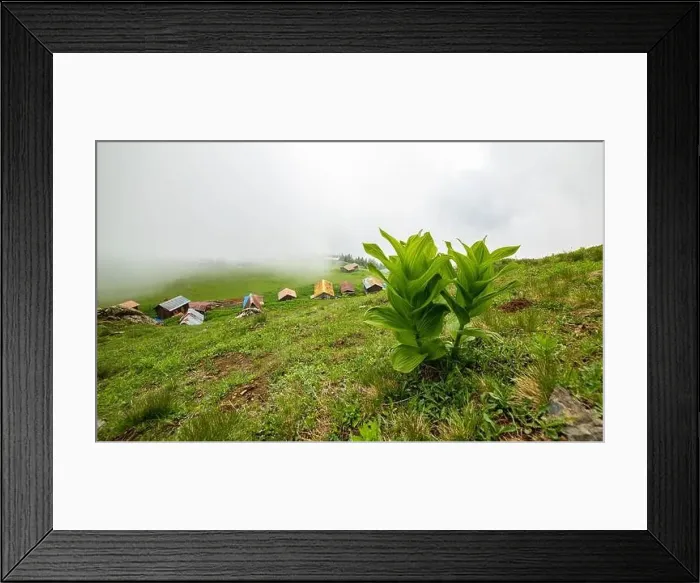 Framed Print : SAL PLATEAU in Camlihemsin district of Rize province. Kackar Mountains region. Rize, Turkey Framed Print : SAL PLATEAU in Camlihemsin district of Rize province. Kackar Mountains region. Rize, Turkey