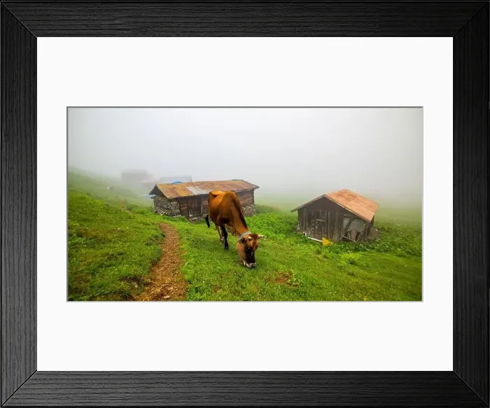 Framed Print : SAL PLATEAU in Camlihemsin district of Rize province. Kackar Mountains region. Rize, Turkey Framed Print : SAL PLATEAU in Camlihemsin district of Rize province. Kackar Mountains region. Rize, Turkey