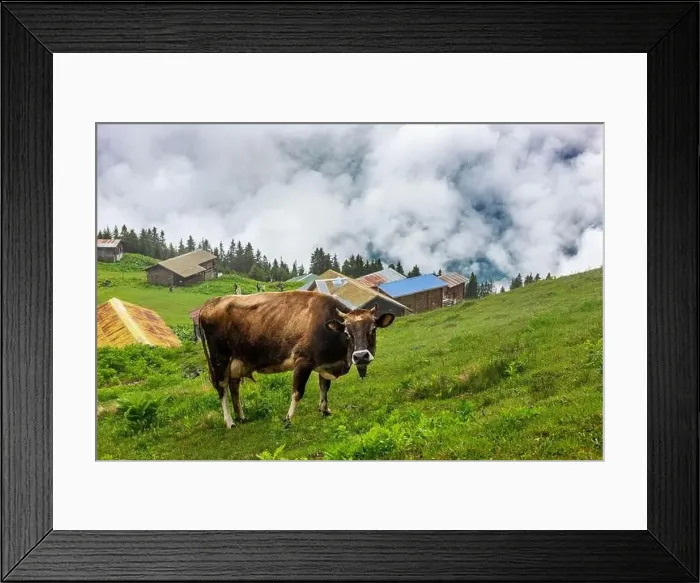 Framed Print : SAL PLATEAU in Camlihemsin district of Rize province. Kackar Mountains region. Rize, Turkey Framed Print : SAL PLATEAU in Camlihemsin district of Rize province. Kackar Mountains region. Rize, Turkey