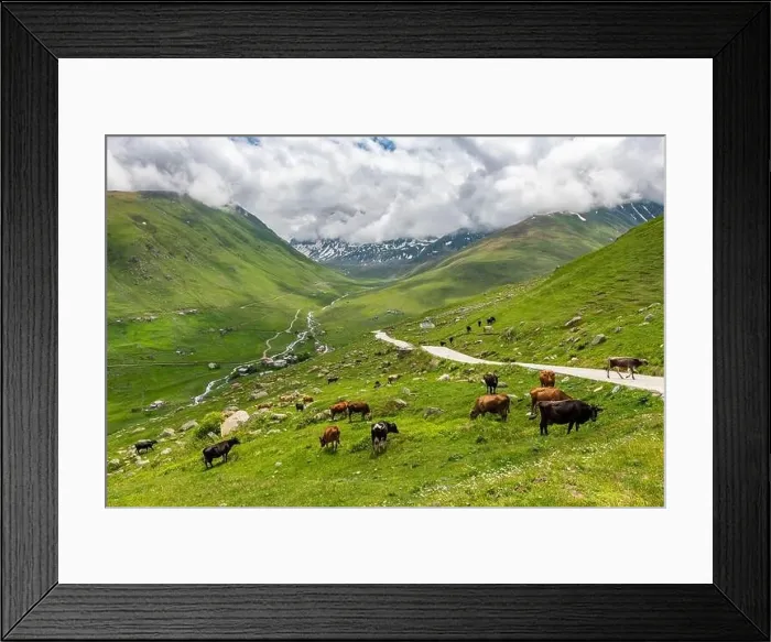 Framed Print : Cicekli Plateau in Camlihemsin district of Rize province Framed Print : Cicekli Plateau in Camlihemsin district of Rize province