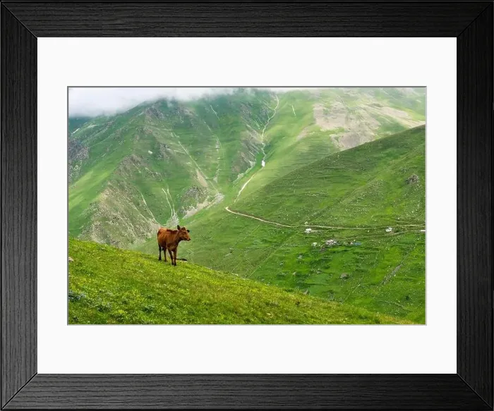 Framed Print : Cicekli Plateau in Camlihemsin district of Rize province Framed Print : Cicekli Plateau in Camlihemsin district of Rize province