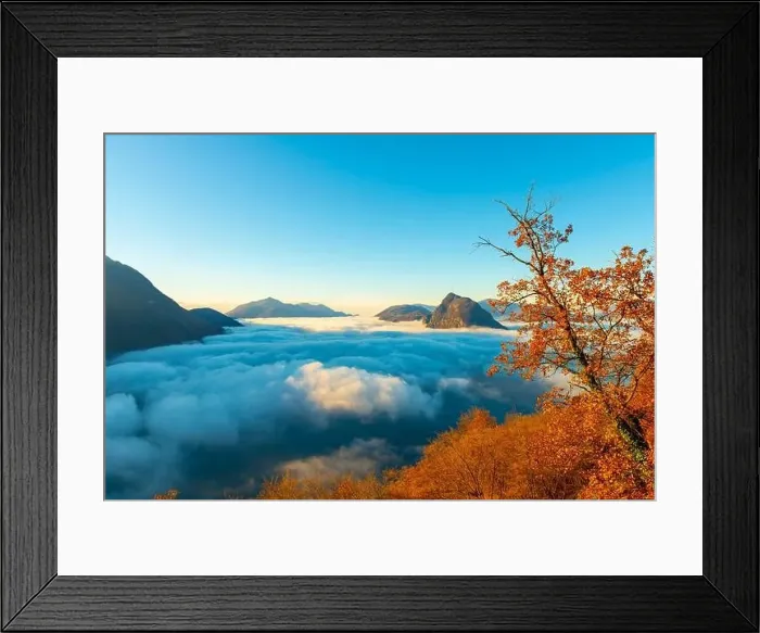 Framed Print : Mountain Peak San Salvatore Above Cloudscape with a Autumn Tree and Sunlight with Clear Sky in Lugano Framed Print : Mountain Peak San Salvatore Above Cloudscape with a Autumn Tree and Sunlight with Clear Sky in Lugano