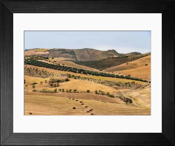 Framed Print : Countryside of Spain. Hills with agriculture Framed Print : Countryside of Spain. Hills with agriculture