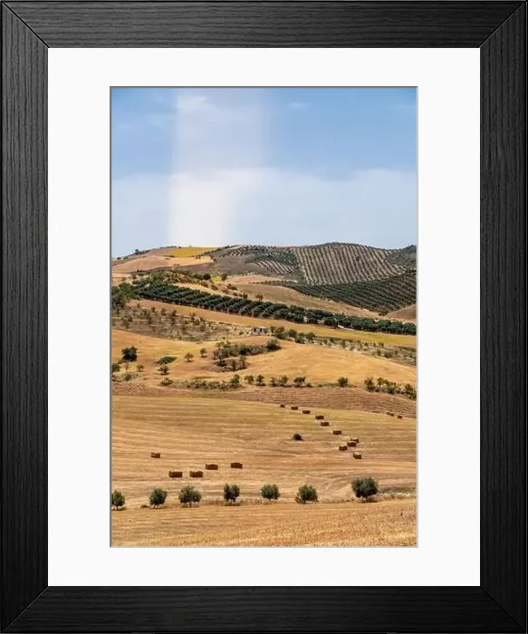Framed Print : Countryside of Spain. Hills with agriculture Framed Print : Countryside of Spain. Hills with agriculture
