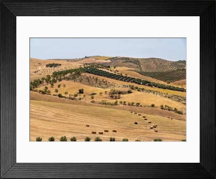 Framed Print : Countryside of Spain. Hills with agriculture Framed Print : Countryside of Spain. Hills with agriculture