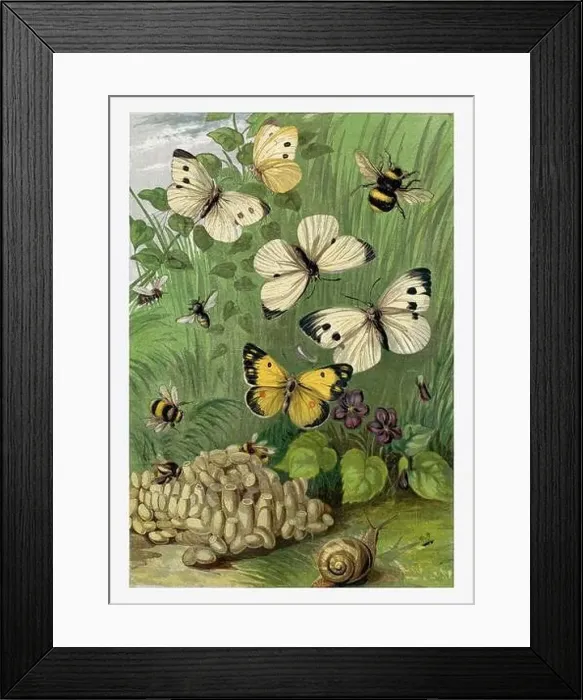 Framed Print : Springtime. Bees, Humblebees, Snail and Butterflies Framed Print : Springtime. Bees, Humblebees, Snail and Butterflies