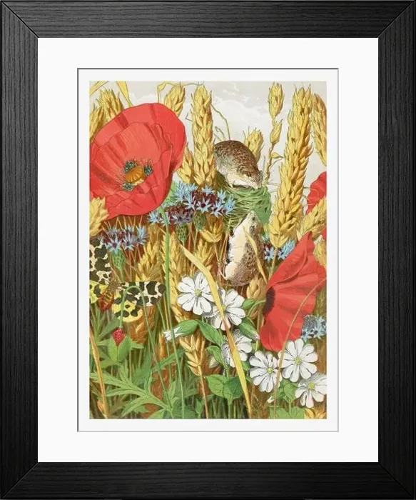 Framed Print : Springtime. The harvest mouse and spring flowers Framed Print : Springtime. The harvest mouse and spring flowers