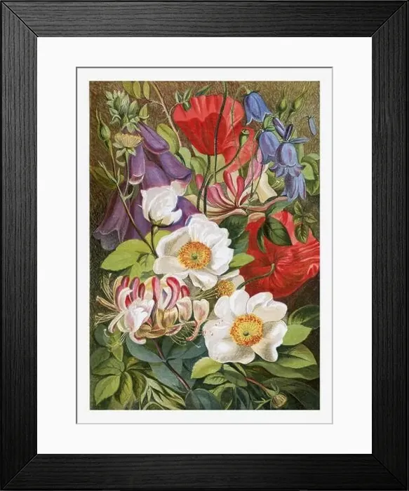 Framed Print : Summer Flowers. Seasonal illustration of The illustrated London Almanack (1845 to 1895) Framed Print : Summer Flowers. Seasonal illustration of The illustrated London Almanack (1845 to 1895)