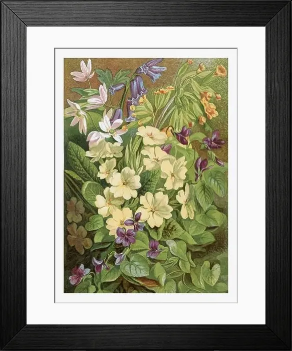 Framed Print : Spring Flowers. Seasonal illustration of The illustrated London Almanack (1845 to 1895)