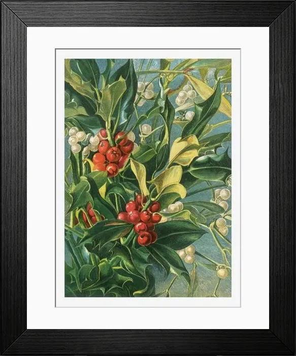 Framed Print : Autumn Flowers. Seasonal illustration of The illustrated London Almanack (1845 to 1895) Framed Print : Autumn Flowers. Seasonal illustration of The illustrated London Almanack (1845 to 1895)