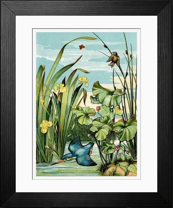 Framed Print : Springtime. Blue Kingfisher over the water and yellow iris flowers Framed Print : Springtime. Blue Kingfisher over the water and yellow iris flowers