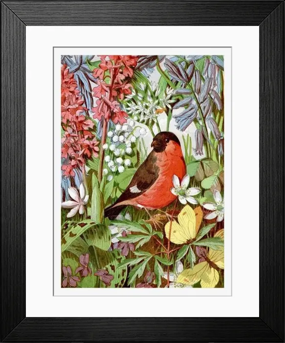 Framed Print : Red bird, yellow butterfly and spring flowers. Seasonal illustration of The illustrated London Almanack (1845 to 1895) Framed Print : Red bird, yellow butterfly and spring flowers. Seasonal illustration of The illustrated London Almanack (1845 to 1895)