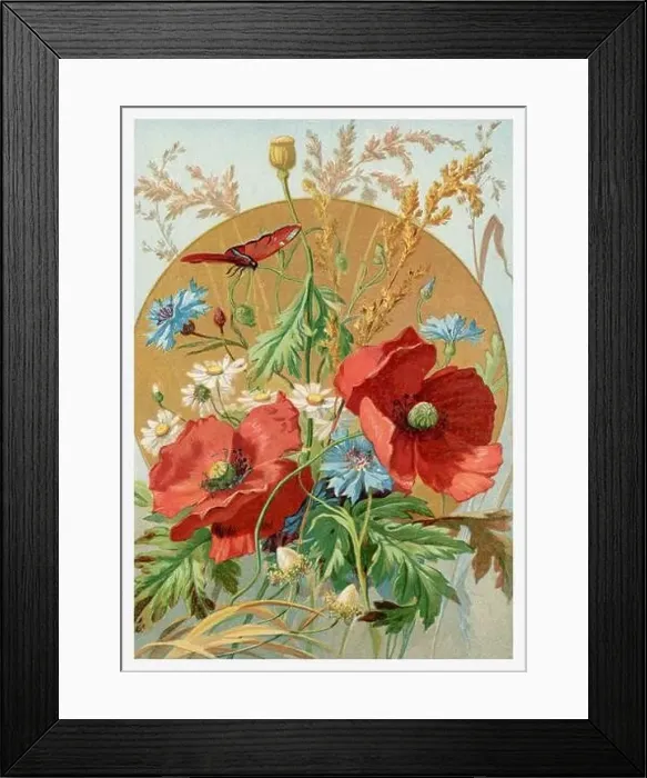 Framed Print : Beautiful Summer Flowers. Seasonal illustration of The illustrated London Almanack (1845 to 1895) Framed Print : Beautiful Summer Flowers. Seasonal illustration of The illustrated London Almanack (1845 to 1895)