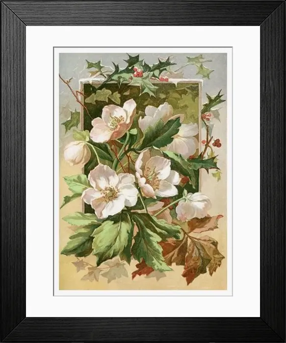 Framed Print : Beautiful Winter Flowers. Seasonal illustration of The illustrated London Almanack (1845 to 1895) Framed Print : Beautiful Winter Flowers. Seasonal illustration of The illustrated London Almanack (1845 to 1895)