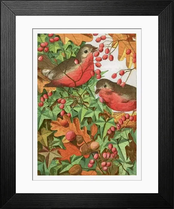 Framed Print : Autumntime plants and birds. Seasonal illustration of The illustrated London Almanack (1845 to 1895) Framed Print : Autumntime plants and birds. Seasonal illustration of The illustrated London Almanack (1845 to 1895)