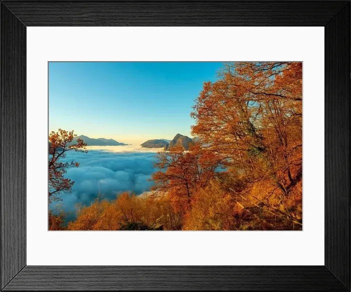 Framed Print : Mountain Peak San Salvatore Above Cloudscape with a Autumn Tree and Sunlight with Clear Sky in Lugano Framed Print : Mountain Peak San Salvatore Above Cloudscape with a Autumn Tree and Sunlight with Clear Sky in Lugano