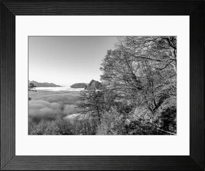 Framed Print : Mountain Peak San Salvatore Above Cloudscape with a Autumn Tree and Sunlight with Clear Sky in Lugano Framed Print : Mountain Peak San Salvatore Above Cloudscape with a Autumn Tree and Sunlight with Clear Sky in Lugano