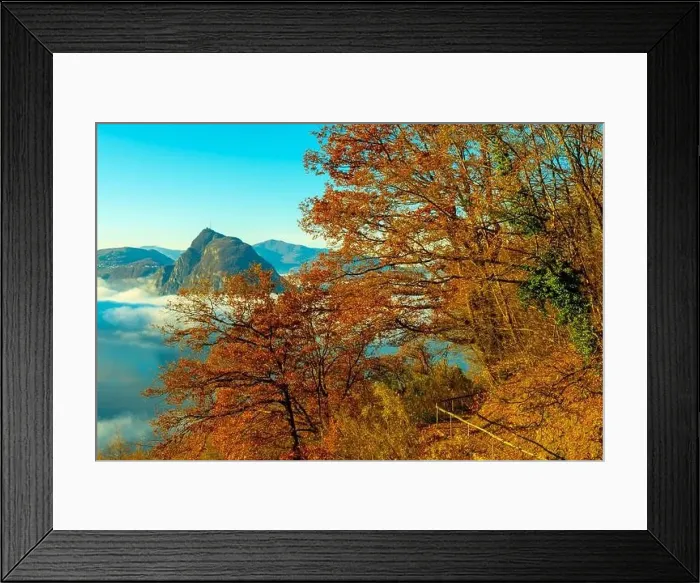 Framed Print : Mountain Peak San Salvatore Above Cloudscape with a Autumn Tree and Sunlight with Clear Sky in Lugano Framed Print : Mountain Peak San Salvatore Above Cloudscape with a Autumn Tree and Sunlight with Clear Sky in Lugano