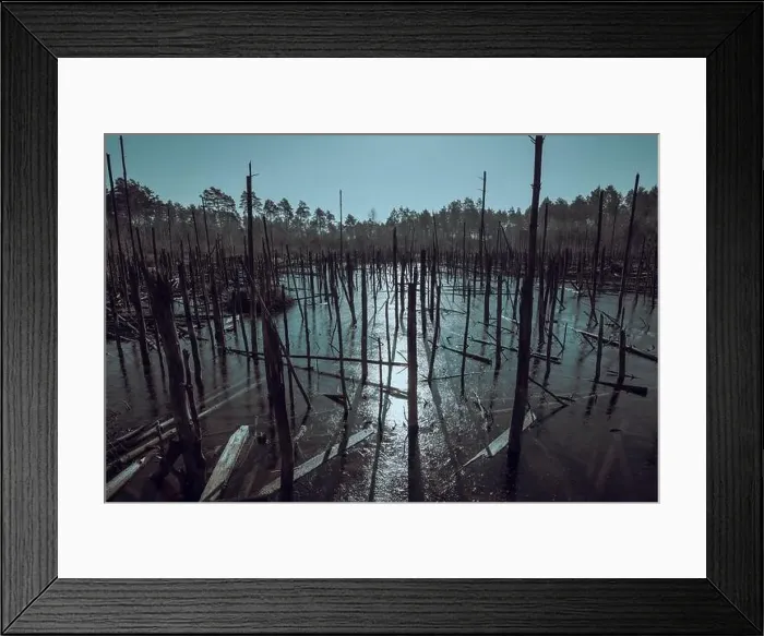 Framed Print : aerial view of an old dilapidated wooden bridge in a swamp surrounded by a great many dead trees standing in the water Framed Print : aerial view of an old dilapidated wooden bridge in a swamp surrounded by a great many dead trees standing in the water