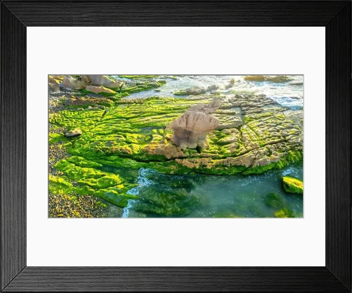 Framed Print : Amazing of rock and moss at Co Thach beach, Tuy Phong, Binh Thuan province, Vietnam, Seascape of Vietnam Strange rocks Framed Print : Amazing of rock and moss at Co Thach beach, Tuy Phong, Binh Thuan province, Vietnam, Seascape of Vietnam Strange rocks