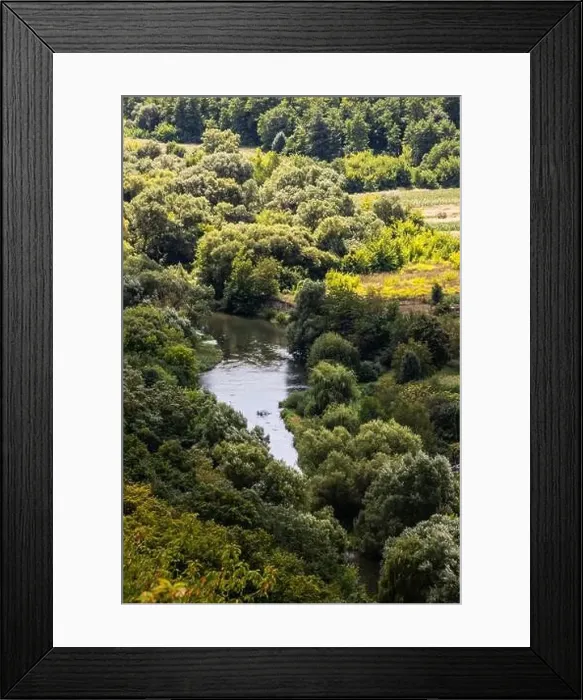 Framed Print : River among green trees in summer. Aerial drone view Framed Print : River among green trees in summer. Aerial drone view