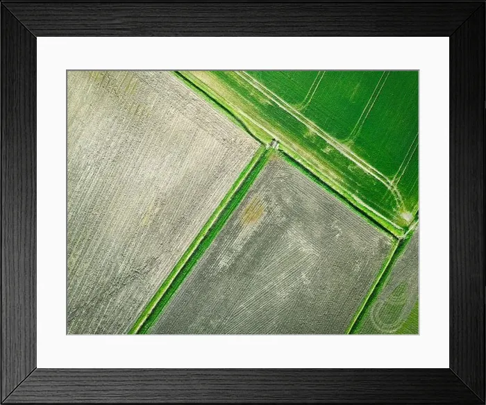 Framed Print : Drone top down view of farm fields showing both fresh crops growing a muddy flood plains Framed Print : Drone top down view of farm fields showing both fresh crops growing a muddy flood plains