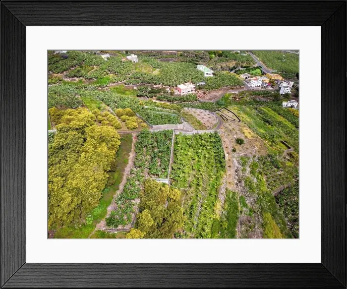 Framed Print : Aerial view of Los Tilos bridge near Los Sauces at La Palma Island, Canary Islands, Spain Framed Print : Aerial view of Los Tilos bridge near Los Sauces at La Palma Island, Canary Islands, Spain