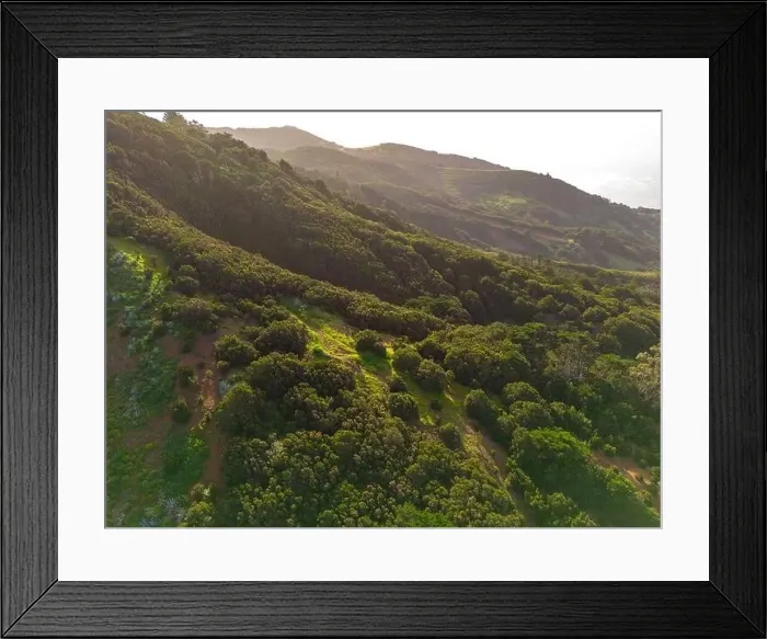 Framed Print : Aerial View at Green Volcanic Hills near Villa de Valverde at El Hierro Island. Canary Island, Spain Framed Print : Aerial View at Green Volcanic Hills near Villa de Valverde at El Hierro Island. Canary Island, Spain