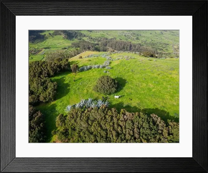 Framed Print : Aerial View at Green Volcanic Hills near Villa de Valverde at El Hierro Island. Canary Island, Spain Framed Print : Aerial View at Green Volcanic Hills near Villa de Valverde at El Hierro Island. Canary Island, Spain