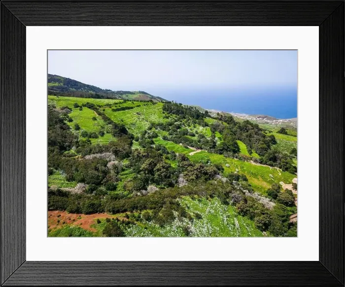 Framed Print : Aerial View at Green Volcanic Hills near Villa de Valverde at El Hierro Island. Canary Island, Spain