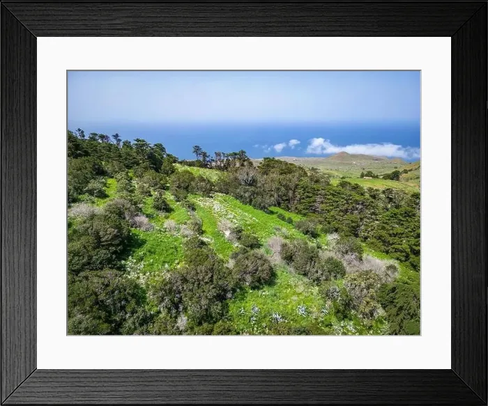 Framed Print : Aerial View at Green Volcanic Hills near Villa de Valverde at El Hierro Island. Canary Island, Spain Framed Print : Aerial View at Green Volcanic Hills near Villa de Valverde at El Hierro Island. Canary Island, Spain