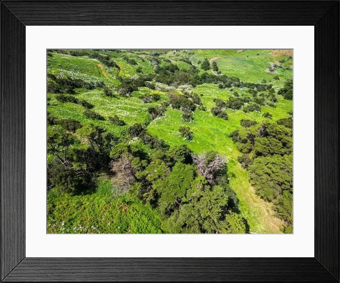 Framed Print : Aerial View at Green Volcanic Hills near Villa de Valverde at El Hierro Island. Canary Island, Spain Framed Print : Aerial View at Green Volcanic Hills near Villa de Valverde at El Hierro Island. Canary Island, Spain