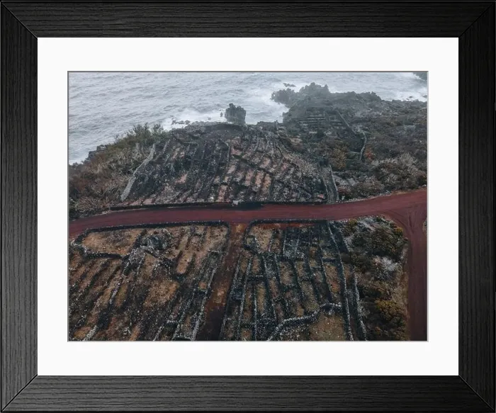 Framed Print : Drone view of Vineyard Landscape of Pico, the Azores Framed Print : Drone view of Vineyard Landscape of Pico, the Azores
