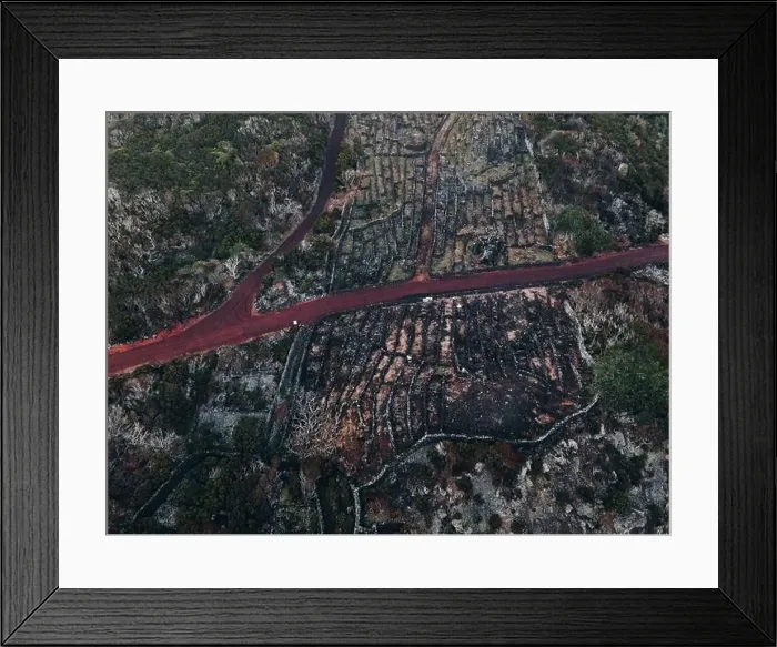Framed Print : Drone view of Vineyard Landscape of Pico, the Azores Framed Print : Drone view of Vineyard Landscape of Pico, the Azores