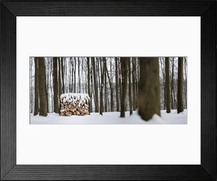 Framed Print : Forest in winter Framed Print : Forest in winter