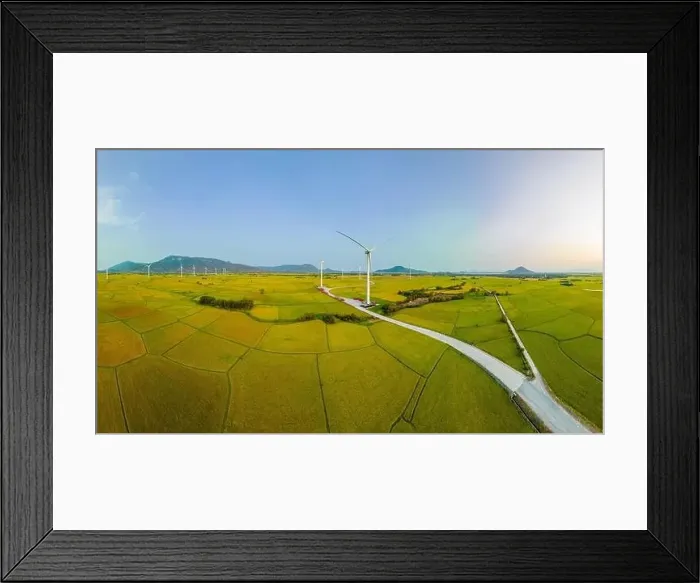 Framed Print : April 8, 2023: rice fields in Phan Rang city are in the harvest season next to wind power poles Framed Print : April 8, 2023: rice fields in Phan Rang city are in the harvest season next to wind power poles