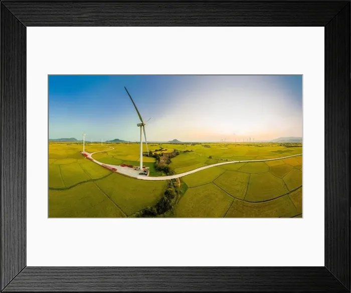 Framed Print : April 8, 2023: rice fields in Phan Rang city are in the harvest season next to wind power poles