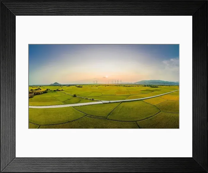 Framed Print : April 8, 2023: rice fields in Phan Rang city are in the harvest season next to wind power poles Framed Print : April 8, 2023: rice fields in Phan Rang city are in the harvest season next to wind power poles