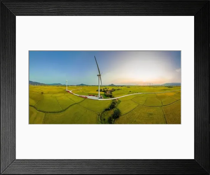 Framed Print : April 8, 2023: rice fields in Phan Rang city are in the harvest season next to wind power poles Framed Print : April 8, 2023: rice fields in Phan Rang city are in the harvest season next to wind power poles