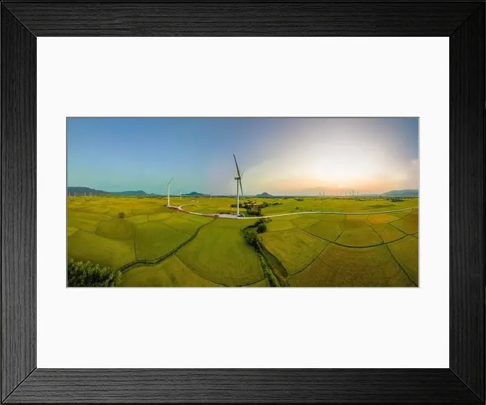 Framed Print : April 8, 2023: rice fields in Phan Rang city are in the harvest season next to wind power poles Framed Print : April 8, 2023: rice fields in Phan Rang city are in the harvest season next to wind power poles