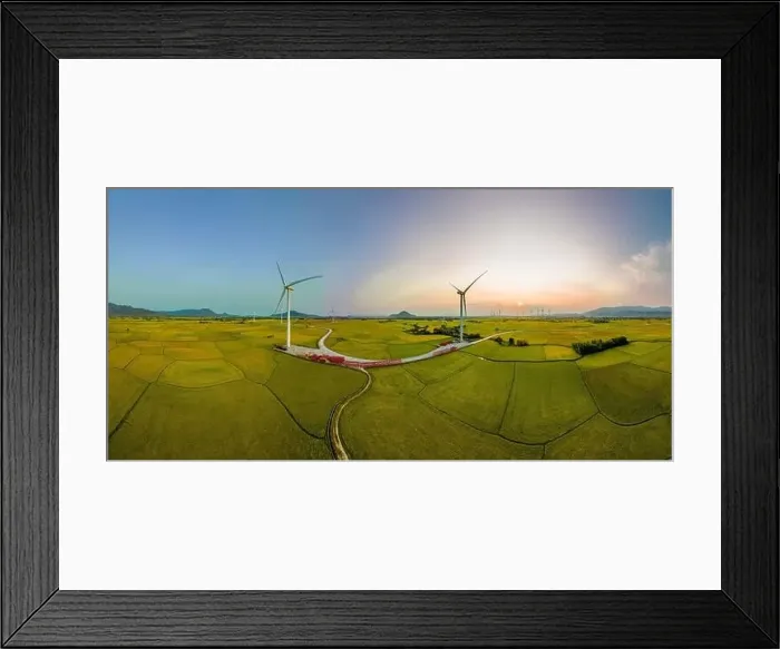 Framed Print : April 8, 2023: rice fields in Phan Rang city are in the harvest season next to wind power poles Framed Print : April 8, 2023: rice fields in Phan Rang city are in the harvest season next to wind power poles