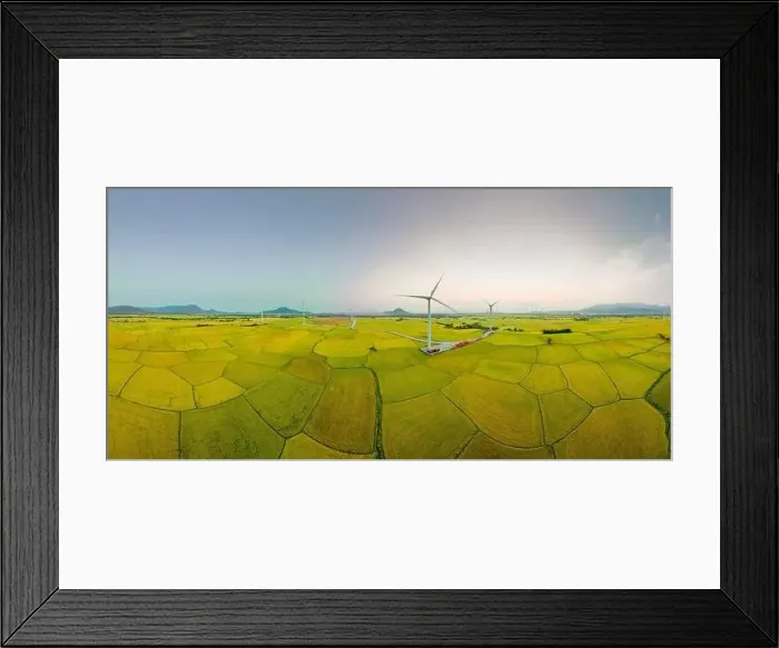 Framed Print : April 8, 2023: rice fields in Phan Rang city are in the harvest season next to wind power poles Framed Print : April 8, 2023: rice fields in Phan Rang city are in the harvest season next to wind power poles