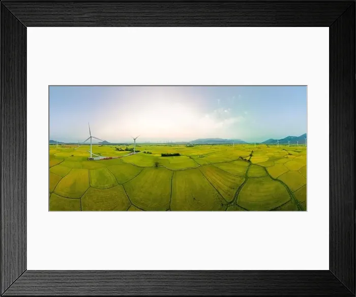 Framed Print : April 8, 2023: rice fields in Phan Rang city are in the harvest season next to wind power poles Framed Print : April 8, 2023: rice fields in Phan Rang city are in the harvest season next to wind power poles