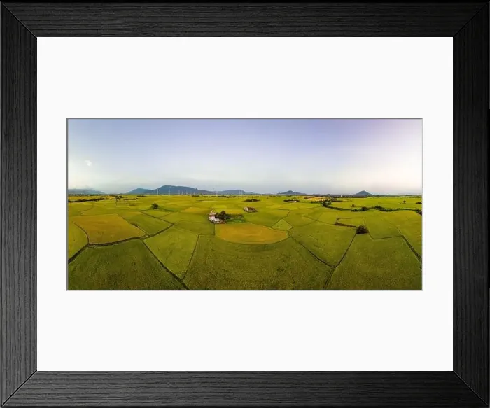 Framed Print : April 8, 2023: rice fields in Phan Rang city are in the harvest season next to wind power poles Framed Print : April 8, 2023: rice fields in Phan Rang city are in the harvest season next to wind power poles