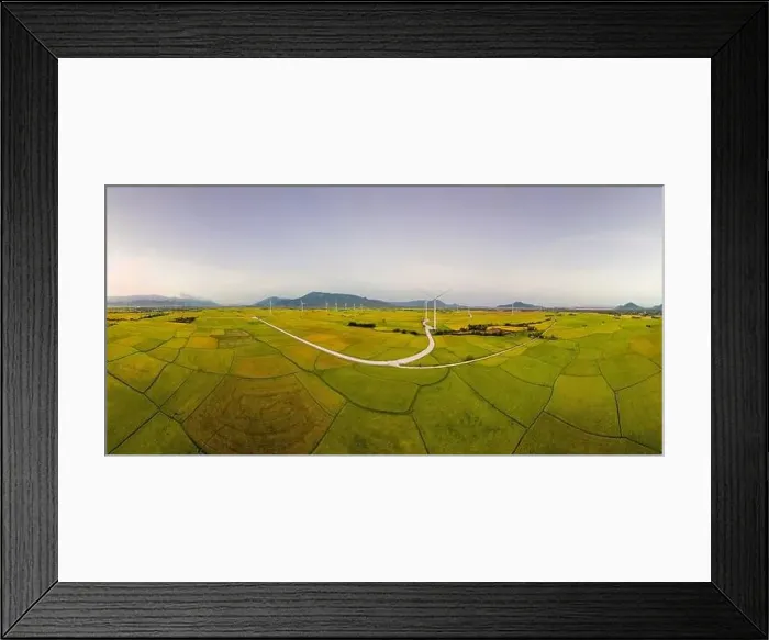 Framed Print : April 8, 2023: rice fields in Phan Rang city are in the harvest season next to wind power poles Framed Print : April 8, 2023: rice fields in Phan Rang city are in the harvest season next to wind power poles
