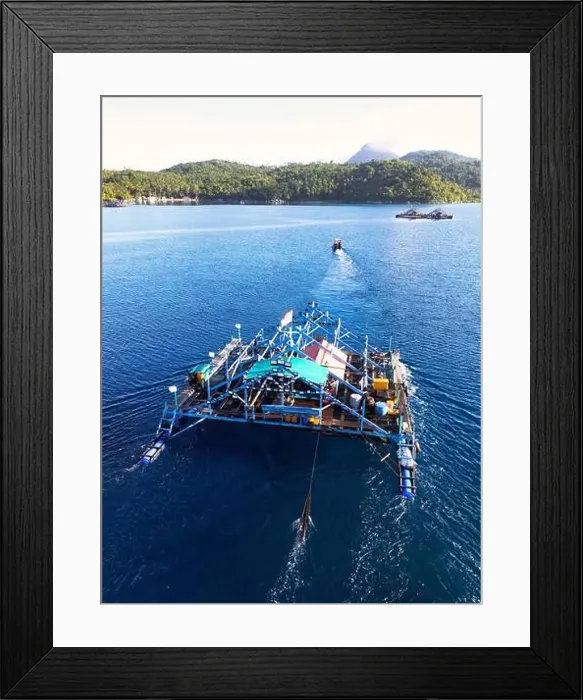 Framed Print : Indonesia Anambas Islands - Drone view Telaga Island Bagan perahu - boat to lift nets Framed Print : Indonesia Anambas Islands - Drone view Telaga Island Bagan perahu - boat to lift nets